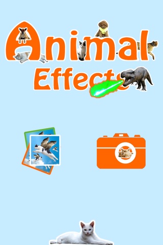 Animal Effects - Stamp Animals Stickers Onto Photo screenshot 4