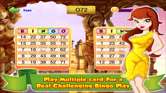 Bingo Master Deluxe Casino - HD Free(圖3)-速報App