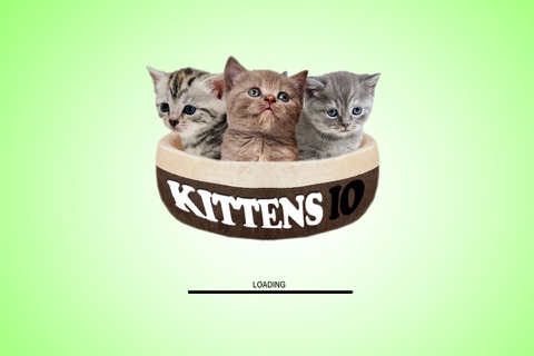 Kittens IO screenshot 4