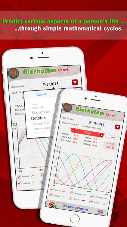 Biorhythm Chart