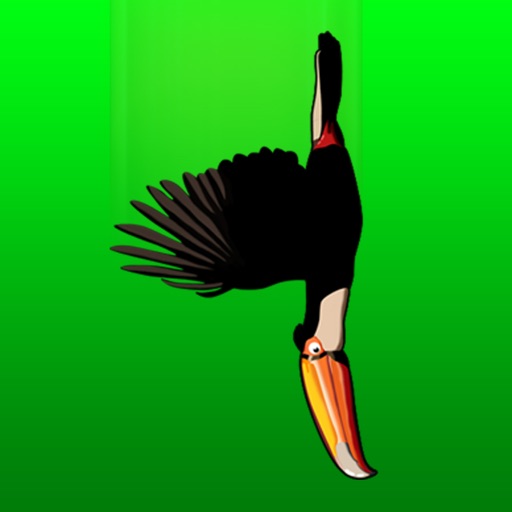Nosedive: Massive Bird Attack iOS App