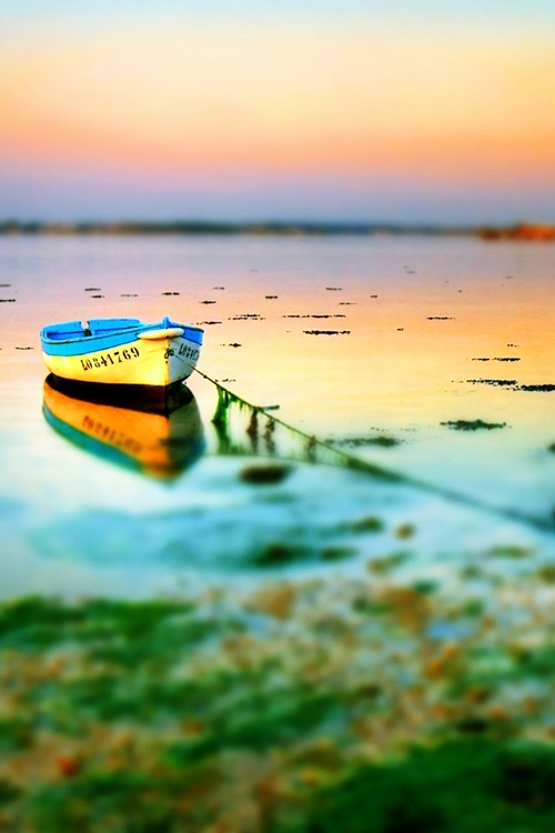 LOMO Camera - LOMO Effects