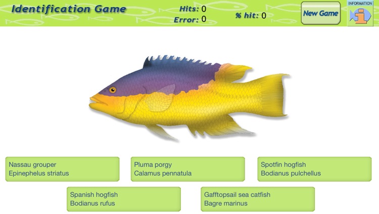 Game Fish Identification
