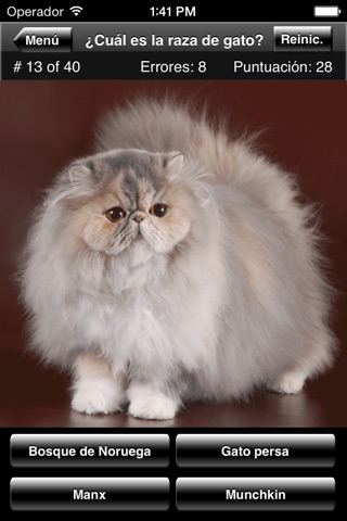 Cat Breed Quiz screenshot 4