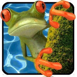 Jumping Frog Game