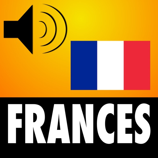 499 Verbos en Frances - Aprende Vocabulario Frances con VerboFrances icon