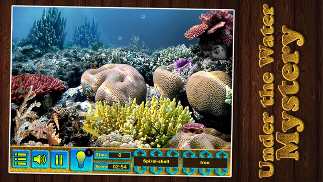 Hidden Object,Hidden Objects,Under Water