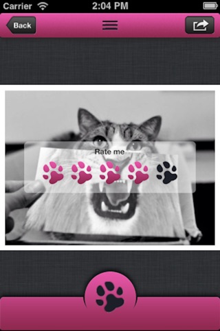 CatSnap screenshot 4