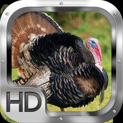 Turkey Hunter iOS App