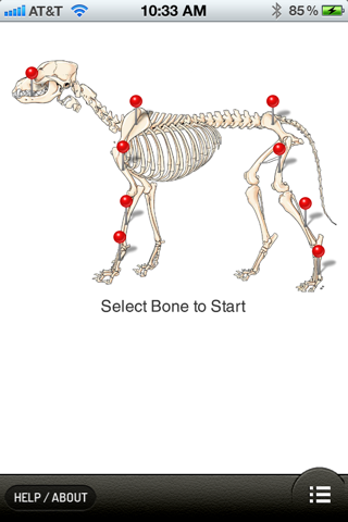 Small Animal Fracture Management screenshot 2