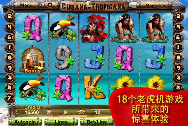 18-IN-1 VIADEN CRAZY PACK SLOTS(圖1)-速報App