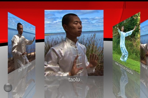 Tai Chi Yang screenshot 3