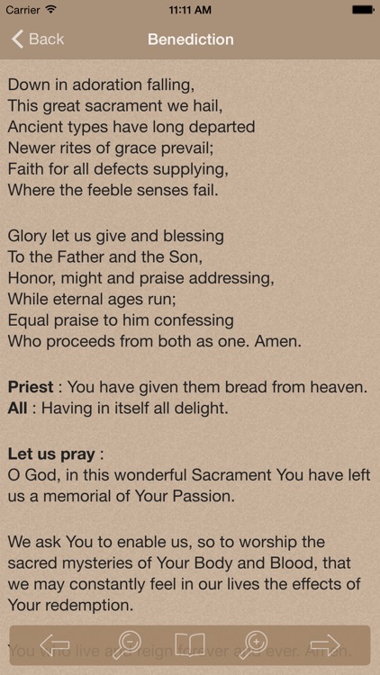 Novena to Our Lady of Perpetual Help screenshot-4
