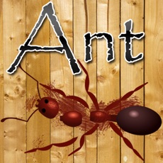 Activities of Ant Crusher Game HD Lite