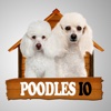 Poodles IO