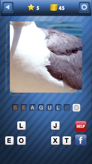 Pic Pop - guess what's that zoomed picture icon riddle in th(圖3)-速報App