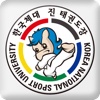 한국체대진태권도