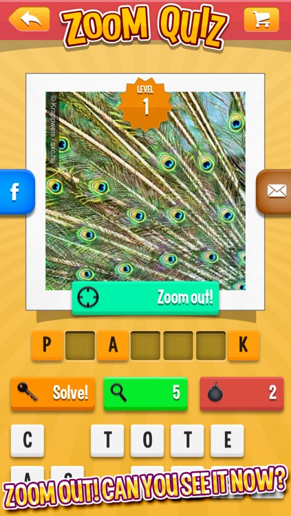 Zoom Quiz: a game of zoomed in pictures screenshot-4