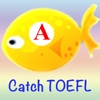 Catch TOEFL Words