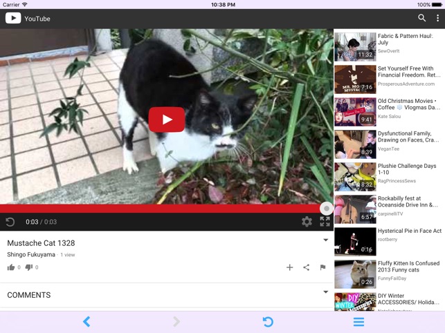 Play video while using another App for YouTube - Moldavite(圖1)-速報App