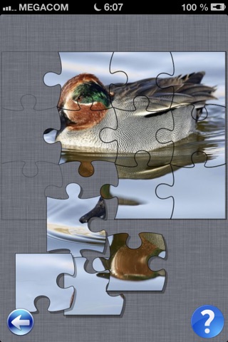 Wild Animal Puzzle 1.0 screenshot 3