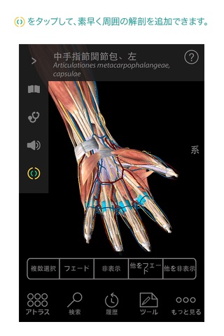 Human Anatomy Atlas – 3D Anatomical Model of the Human Body screenshot 2