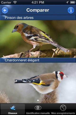 Oiseau ID France - Apprenez à reconnaître les oiseaux dans la nature et dans votre jardin screenshot 3
