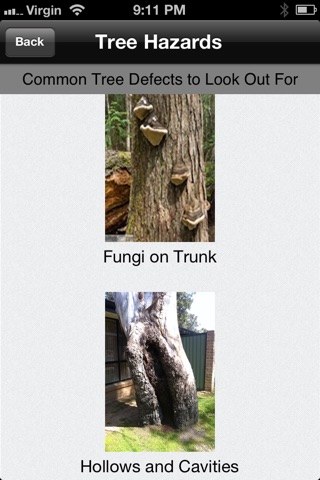 Tree Safety screenshot 2