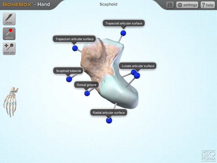 BoneBox™ - Hand Viewer screenshot-3