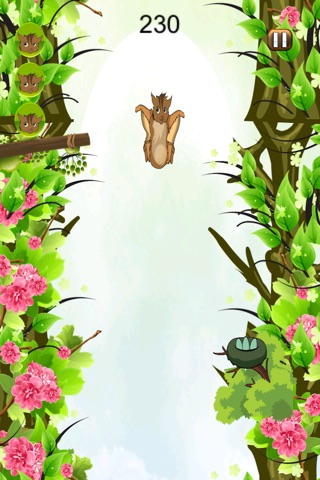 Happy Forest Free Fall FREE -  A Nuts Squirrel Dropping Simulator screenshot 4