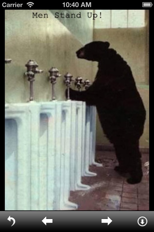 Funny Animal Pictures
