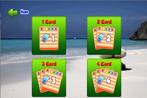 Bingo Beach Game screenshot 2