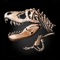 In all verity The Lost Lands: Dinosaur Hunter is one of the most lovely simulators of Dinosaur Hunter