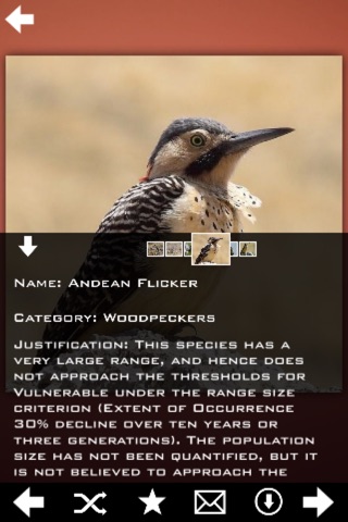 Woodpeckers Guide Pro screenshot 3
