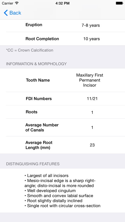 Tooth Morphology - Your Quick Reference Guide