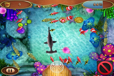 Fish Champ screenshot 2