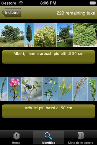 Guida alle piante legnose dei Colli Euganei screenshot 3