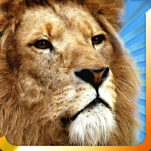 WildWow Pro icon