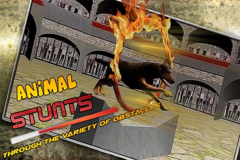 Circus Master - Animal Stunts screenshot 2