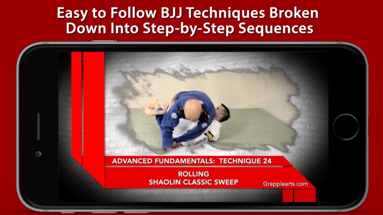 Advanced Fundamentals of Brazilian Jiu-Jitsu by Brandon Mullins and Stephan Kesting