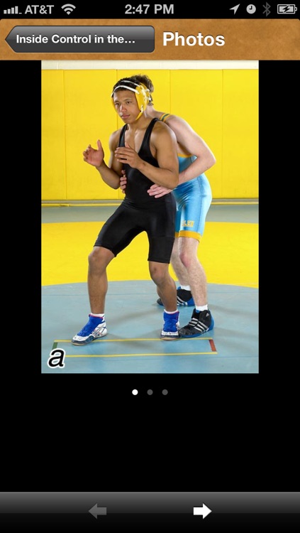 Wrestling Drills screenshot-4