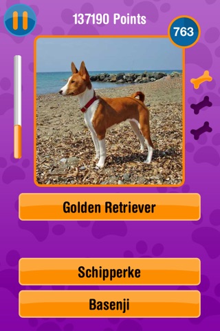 Guess The Dog Breed screenshot 4