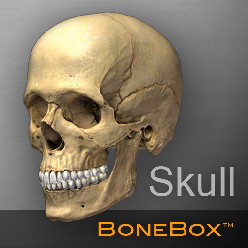 BoneBox™ - Skull Viewer