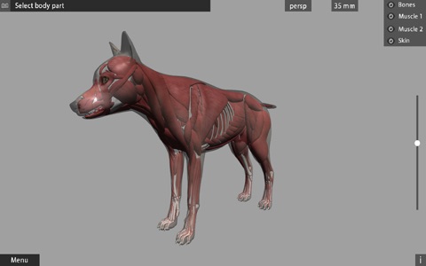 Animal Anatomy 3D screenshot 3