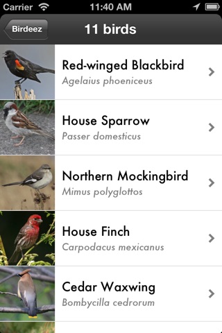 Birdeez: Easy Bird Identification Guide screenshot 2