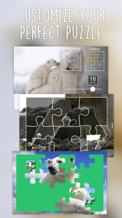 How to cancel & delete Jigsaw Wonder Polar Bear Puzzles for Kids Free from iphone & ipad 2