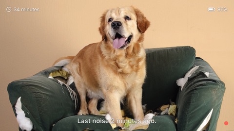 Screenshot #12 for Dog Monitor