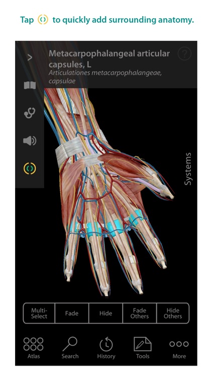 Human Anatomy Atlas – 3D Anatomical Model of the Human Body