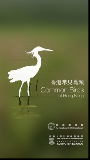 香港常見鳥類(圖1)-速報App