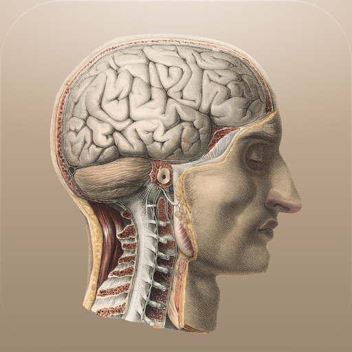 Classic Anatomy iOS App